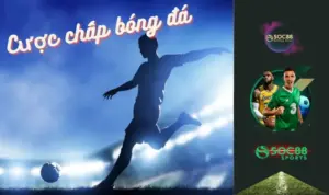 Cược chấp bóng đá là gì?