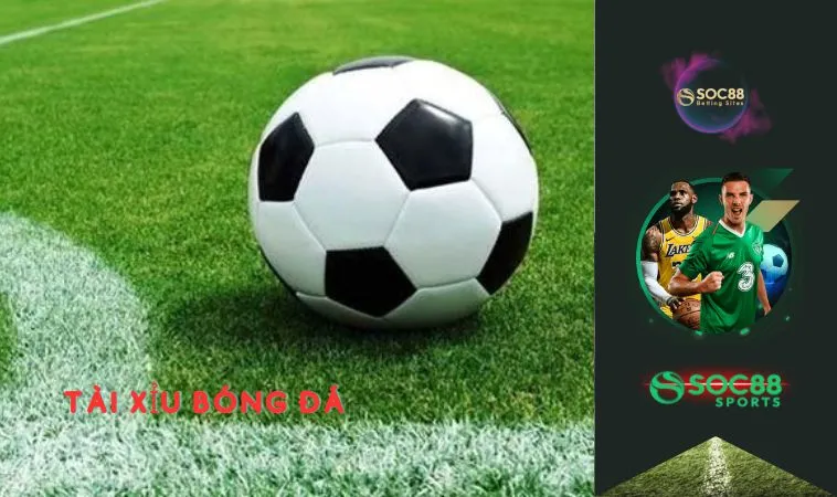 Cược Tài Xỉu Bóng Đá Là Gì? Cách Đọc Kèo Chuẩn Xác 1 Cược Tài Xỉu bóng đá là gì?