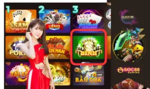 Tỉ lệ cược của trò Mậu Binh SOC88