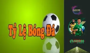 Tỷ lệ cược bóng đá là gì?